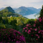 Der Botanische Park San Grato in Carona im Kanton Tessin. Im Hintergrund der Monte San Salvatore, Monte Bre und Monte Boglia, darunter Lugano_Roland Gerth